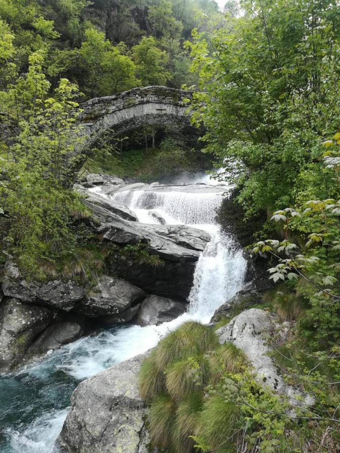 La Stella Delle Alpi Hotell Vico Canavese Eksteriør bilde