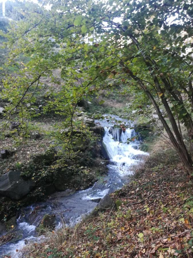 La Stella Delle Alpi Hotell Vico Canavese Eksteriør bilde